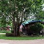 Big Tree Resort