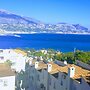 Albir Up Paradise