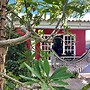 Tropical Breeze Apartments