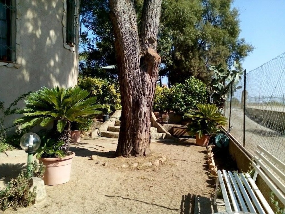 B&B Il Vigneto