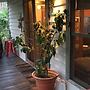 Mystic View Cottage Wandiligong
