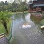 Handunkanda Nature Escape