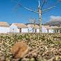 Camping Sierra de las Nieves