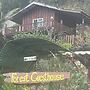 Forest Guesthouse