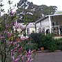 The Best Exotic Magnolia Cottage