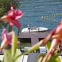 Albergo Ristorante La Palma