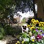 Jordan Valley Birding Lodge
