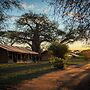 Baobab Tented Camp