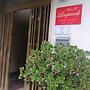 B&B Leopardi