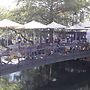 Les Terrasses de David et Louisa