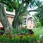 Bella Vista Stay