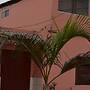 La Casa Maruja San Bartolo