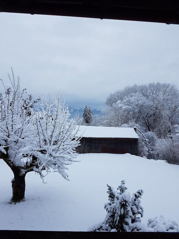 Zweite Heimat