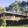 Blackwattle at Barrington Tops