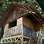 SmallFry's Beach Resort