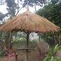 Chital Lodge