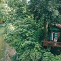 Our Jungle House