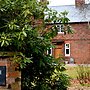 Beech Hill B&B