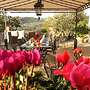 B&B Le Dimore di Mezza Costa - Home Restaurant & Cooking Classes