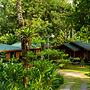 Eden Organic Farm & Bungalows