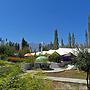 Tiger Camp