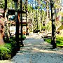 Altos Medanos - Cabañas y Club de Bosque