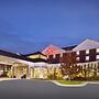 Hilton Garden Inn Detroit/Novi