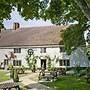 The Orange Tree