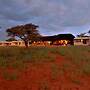 Zebra Kalahari Lodge
