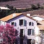 Mas Montluzia