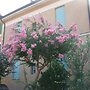 B&B Accorsi