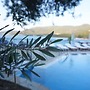 Omar Hotel & Suites
