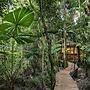 Daintree Wilderness Lodge