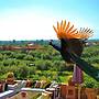Riad Al Mendili Private Resort & Spa