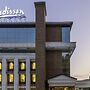 Radisson Srinagar