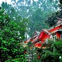 Tea Valley Resort