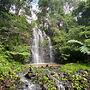 Nimbin Waterfall Retreat