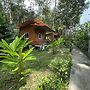 Khaosok Bamboo Huts Resort