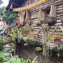 Gio Lao Eco Lodge - Hostel