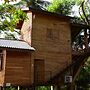 Wilpattu Tree House Hotel