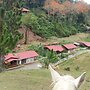 Finca Tres Equis - Farm and Forest