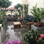 The Rooftop
