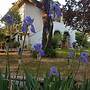 MeraVilla B&B