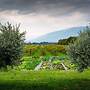 Agriturismo Al Luogo del Giulio