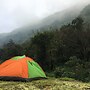 Canary Forest Camping