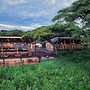 Ngorongoro Lions Paw