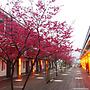 Sanyi Sakura Resort