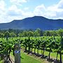 Winmark Wines