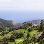 Mantis St Helena