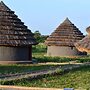 Grassroots Cottages & Tours